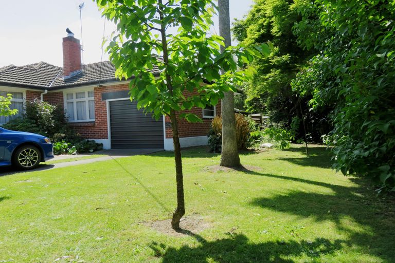 Photo of property in 10 Hayhurst Street, Temuka, 7920