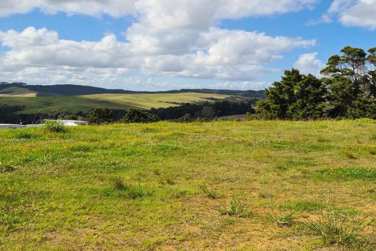 Photo of property in 304 Arapaoa Road, Tinopai, Matakohe, 0593