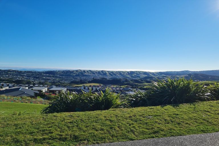 Photo of property in 38 Astelia Way, Woodridge, Wellington, 6037