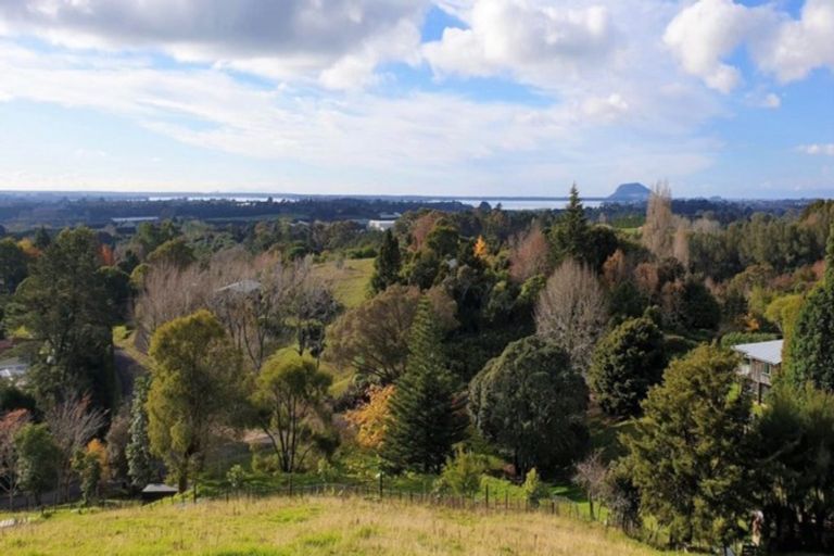 Photo of property in 140a Minden Road, Minden, Tauranga, 3176