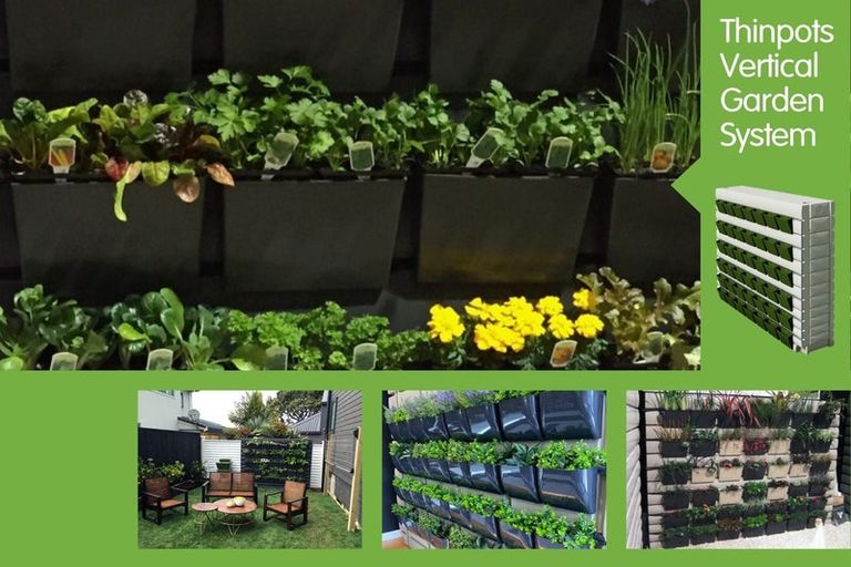 Photo of property in 60d Seymour Road, Sunnyvale, Auckland, 0612