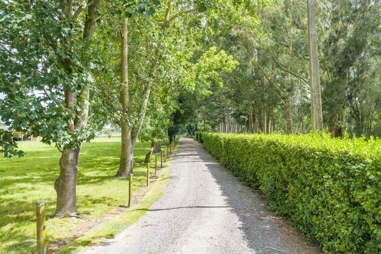 Photo of property in 737 Tauwhare Road, Tauwhare, Hamilton, 3287