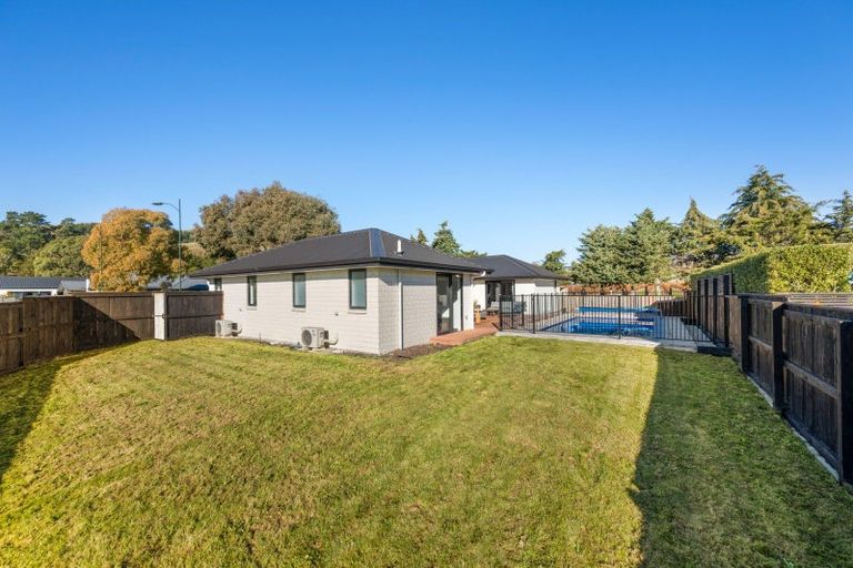 Photo of property in 238 Taylor Pass Road, Witherlea, Blenheim, 7201