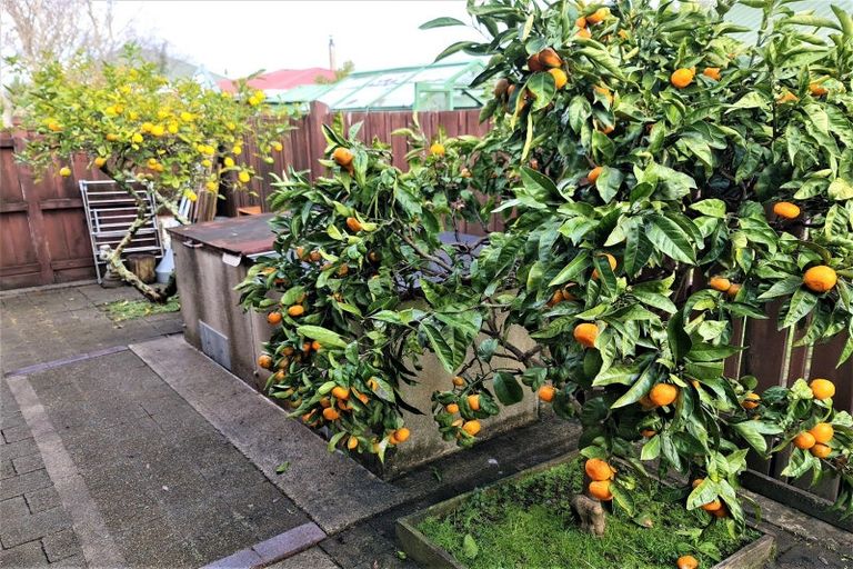 Photo of property in 97c Russell Street, Westport, 7825