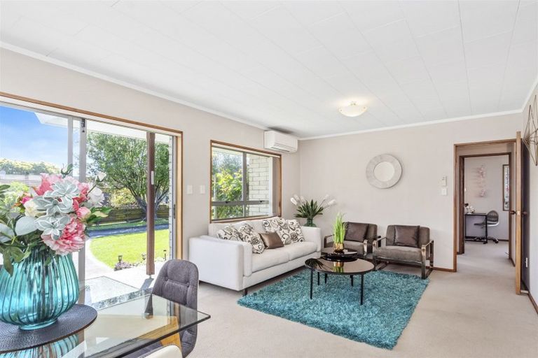 Photo of property in 45 Shelley Street, Otumoetai, Tauranga, 3110