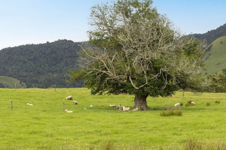 Photo of property in 73 Takahue Saddle Road, Takahue, Kaitaia, 0481