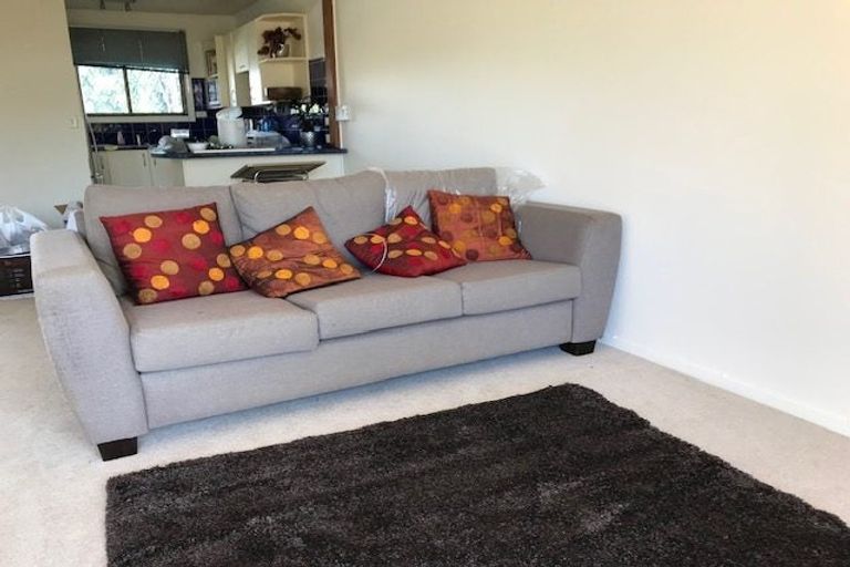 Photo of property in 44 Esplanade Road, Tahawai, Katikati, 3170