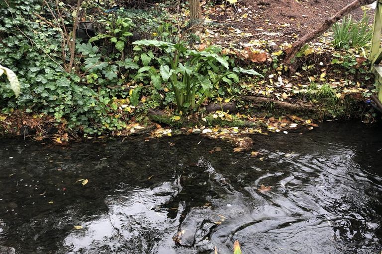 Photo of property in 21 Glandovey Road, Fendalton, Christchurch, 8052