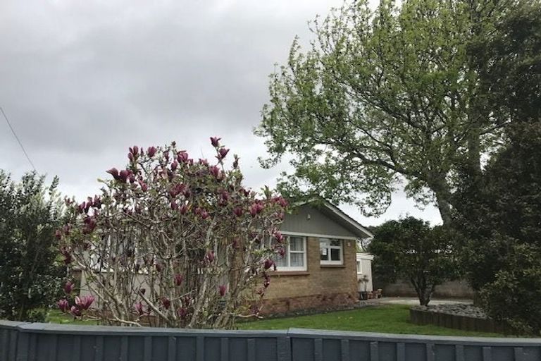 Photo of property in 15a Collie Street, Hillpark, Auckland, 2102