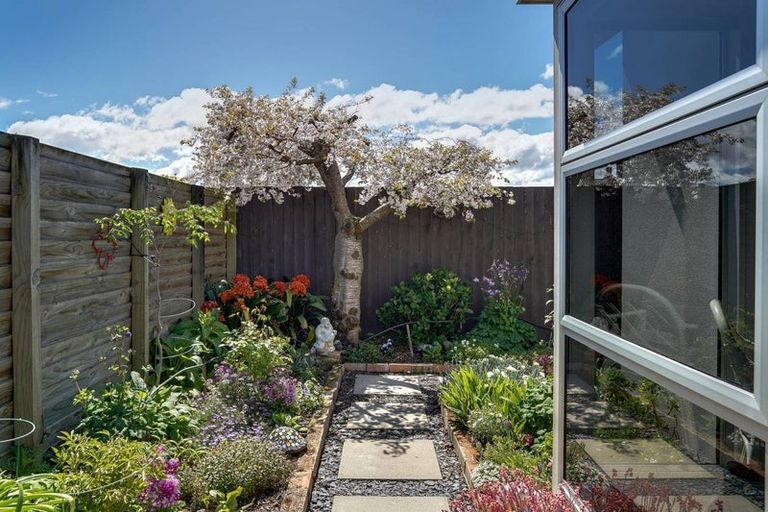 Photo of property in 6c Adams Lane, Springlands, Blenheim, 7201