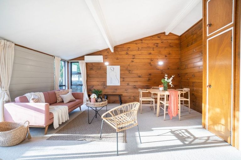 Photo of property in 66a Limbrick Street, Terrace End, Palmerston North, 4410