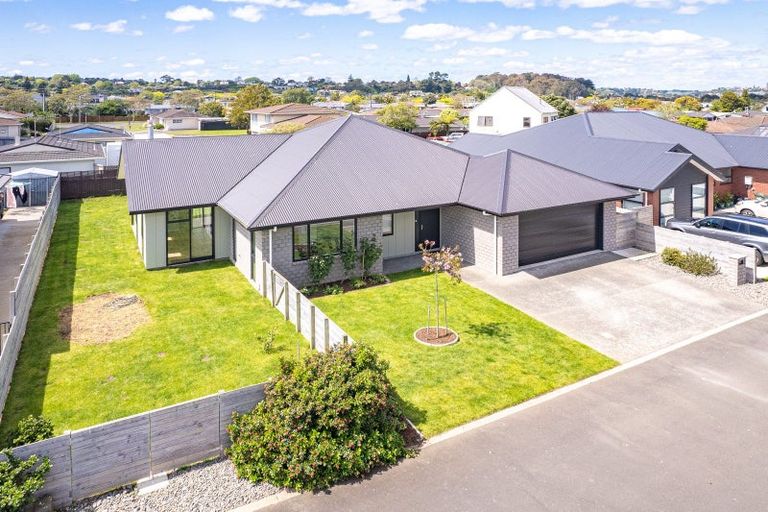 Photo of property in 39 Sussex Road, Springvale, Whanganui, 4501