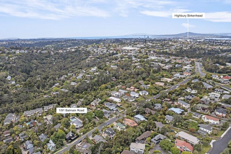 Photo of property in 1/91 Balmain Road, Birkenhead, Auckland, 0626