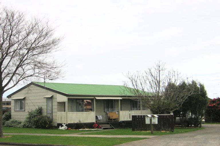 Photo of property in 18 Adkin Avenue, Levin, 5510