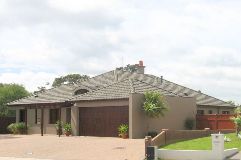 Photo of property in 12 Woodside Close, Morrinsville, 3300