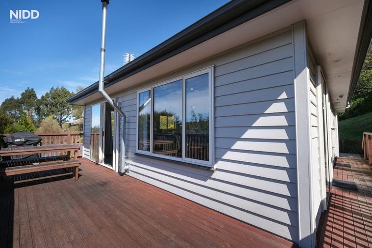 Photo of property in 45 Saint Albans Street, Bradford, Dunedin, 9011