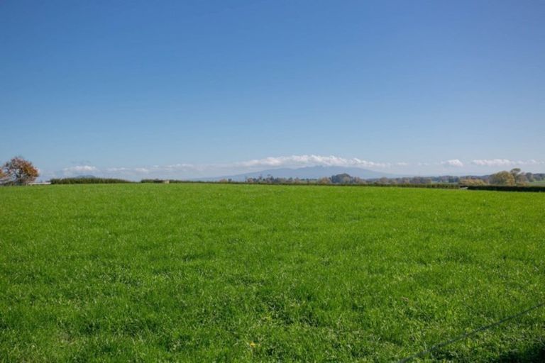 Photo of property in 342 Grice Road, Rotoorangi, Cambridge, 3495