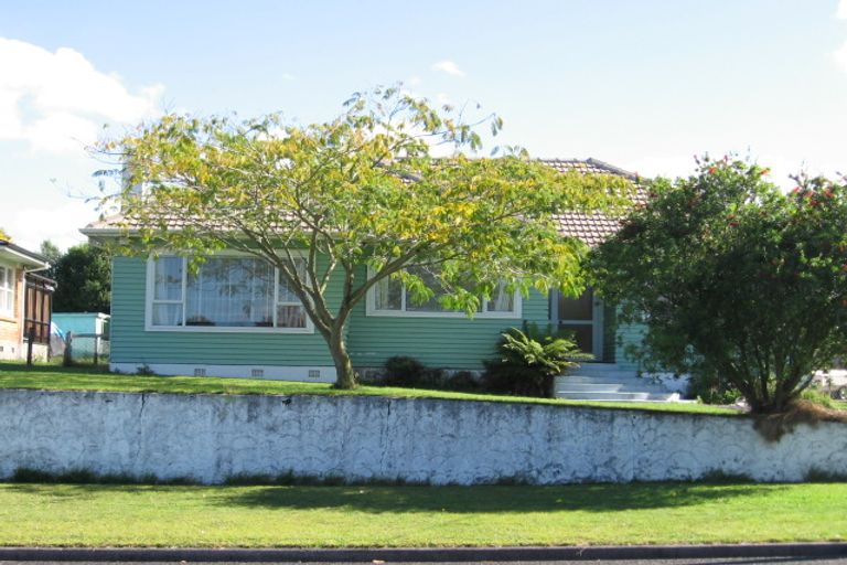 Photo of property in 52 Reservoir Street, Putaruru, 3411