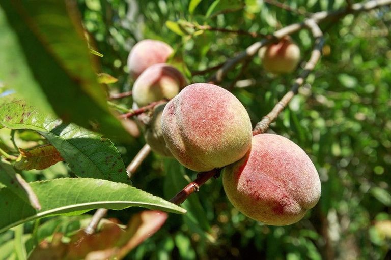 Photo of property in 18 Rossiter Street, Tawa, Wellington, 5028