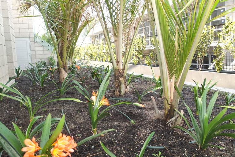 Photo of property in 423 Murphys Road, Flat Bush, Auckland, 2019