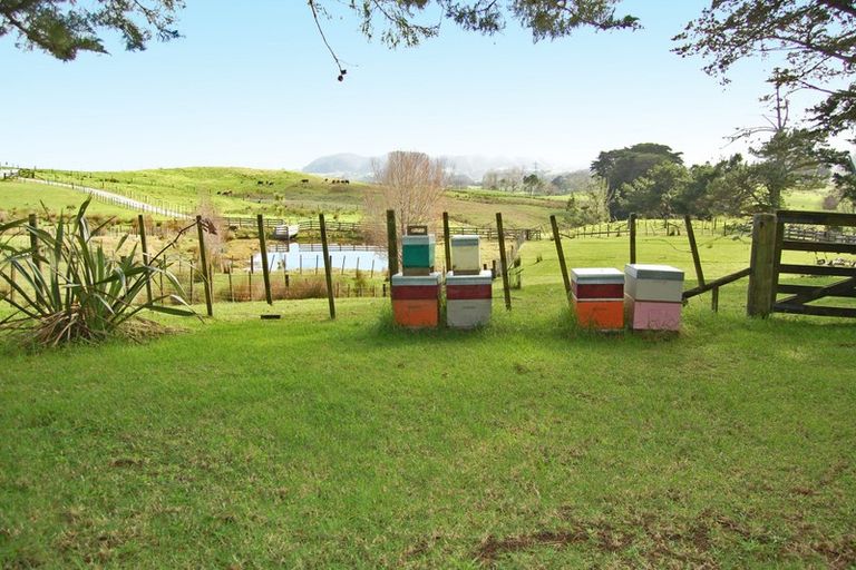 Photo of property in 210a Pukenui Road, Kaiwaka, 0573