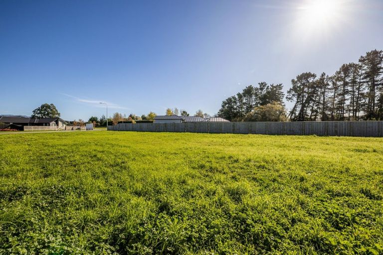 Photo of property in 2 Harrier Place, Amberley, 7410