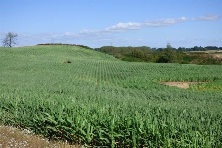 Photo of property in 336 Grove Road, Te Pahu, Hamilton, 3285