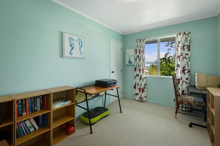 Photo of property in 101 Oakley Crescent, Thames, 3500