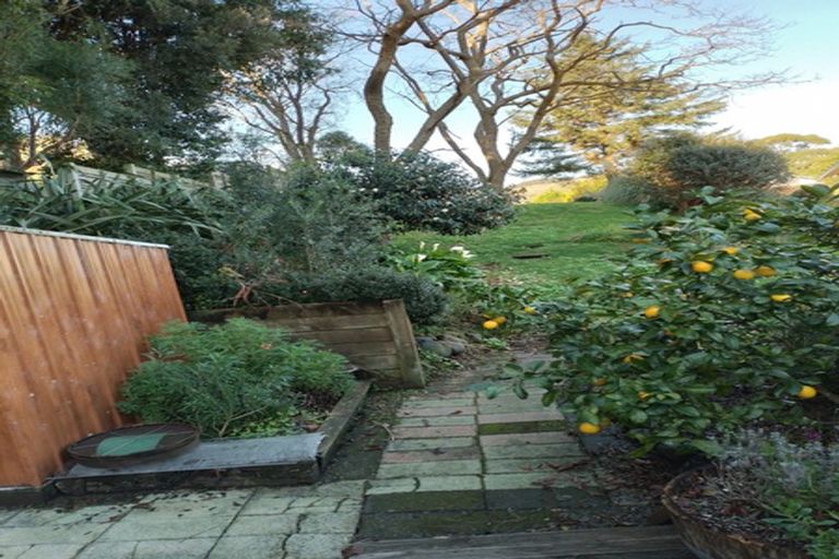 Photo of property in 24 Clunie Avenue, Raumati South, Paraparaumu, 5032