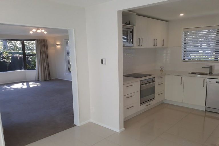 Photo of property in 17 Norfolk Street, St Albans, Christchurch, 8052