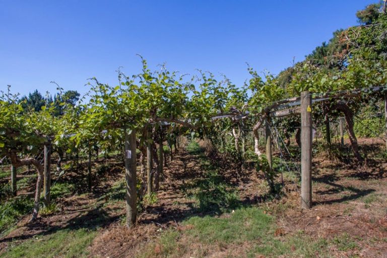 Photo of property in 159 Plantation Road, Rangiriri, Te Kauwhata, 3782