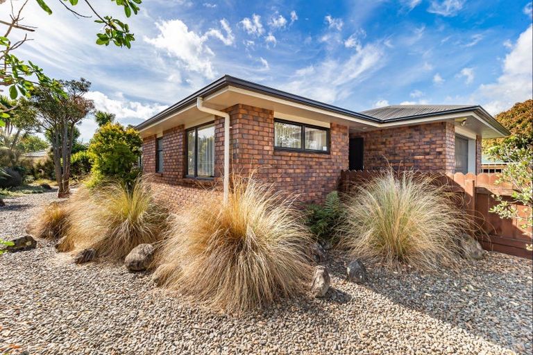 Photo of property in 68 Mako Mako Road, Levin, 5510