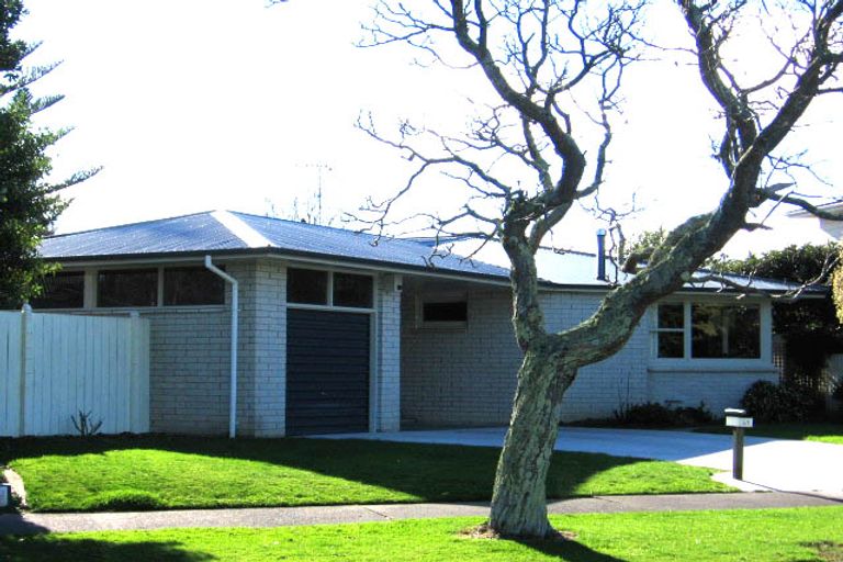 Photo of property in 97 Dittmer Drive, West End, Palmerston North, 4412