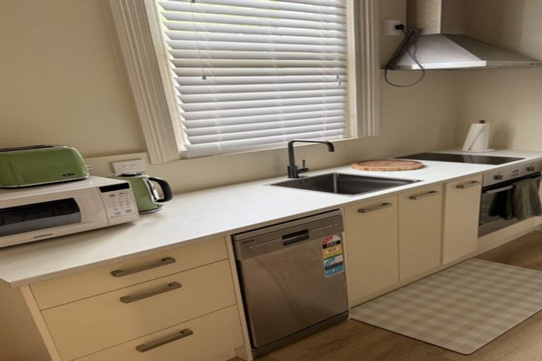 Photo of property in 60 Royal Terrace, Dunedin Central, Dunedin, 9016