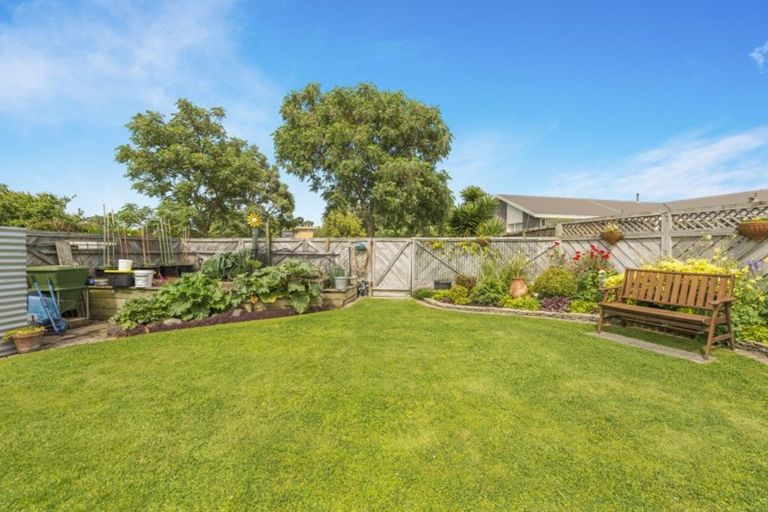 Photo of property in 19 Deanna Avenue, Morrinsville, 3300