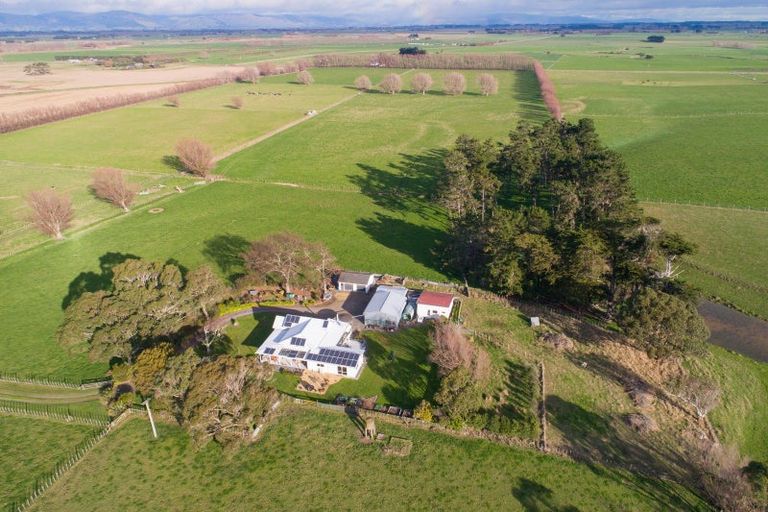 Photo of property in 140 Leen Road, Rongotea, Palmerston North, 4473
