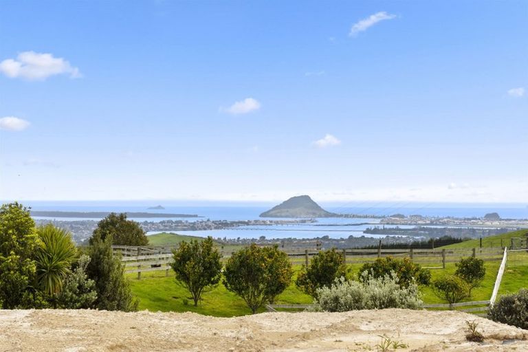 Photo of property in 11g Rowe Road, Ohauiti, Tauranga, 3173
