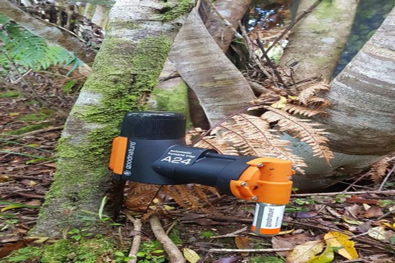 Photo of property in 74 Wangapeka Road, Little Wanganui, Karamea, 7893