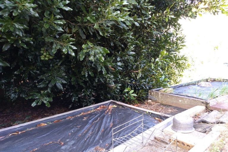 Photo of property in 10 Citation Way, Botany Downs, Auckland, 2010