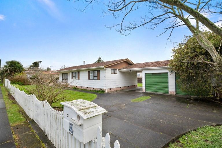 Photo of property in 3 Howe Street, Foxton, 4814