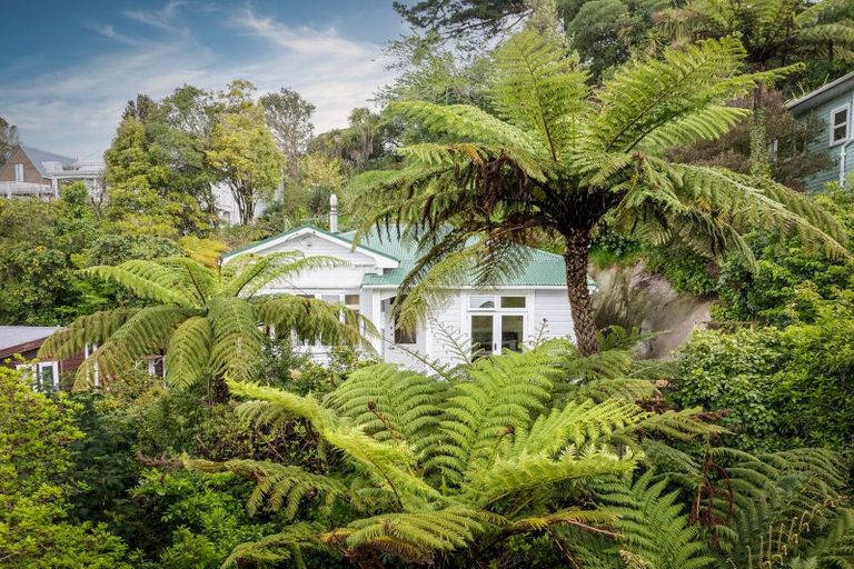 Photo of property in 23 Crieff Street, Northland, Wellington, 6012