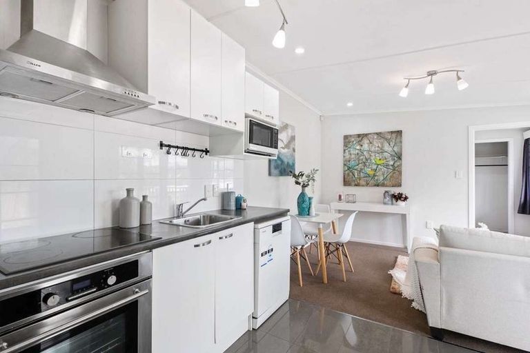 Photo of property in 259b Mount Albert Road, Wesley, Auckland, 1041