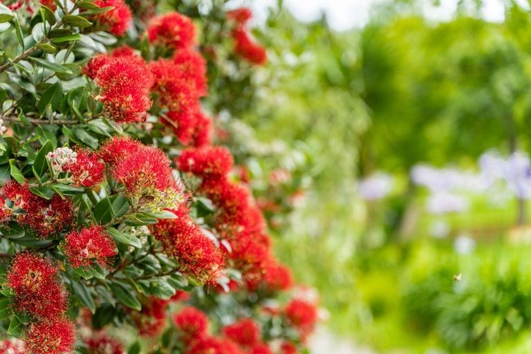 Photo of property in 381 Tara Road, Mangawhai, 0573