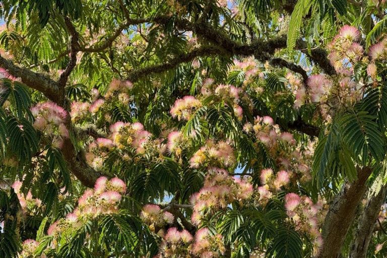 Photo of property in 72 Toi Toi Street, Toi Toi, Nelson, 7010