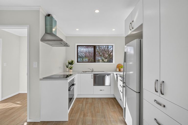 Photo of property in 2/12 Buchanan Street, Matamata, 3400