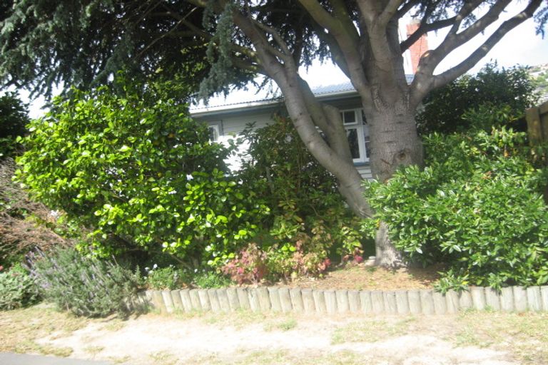 Photo of property in 36 Birdwood Avenue, Beckenham, Christchurch, 8023