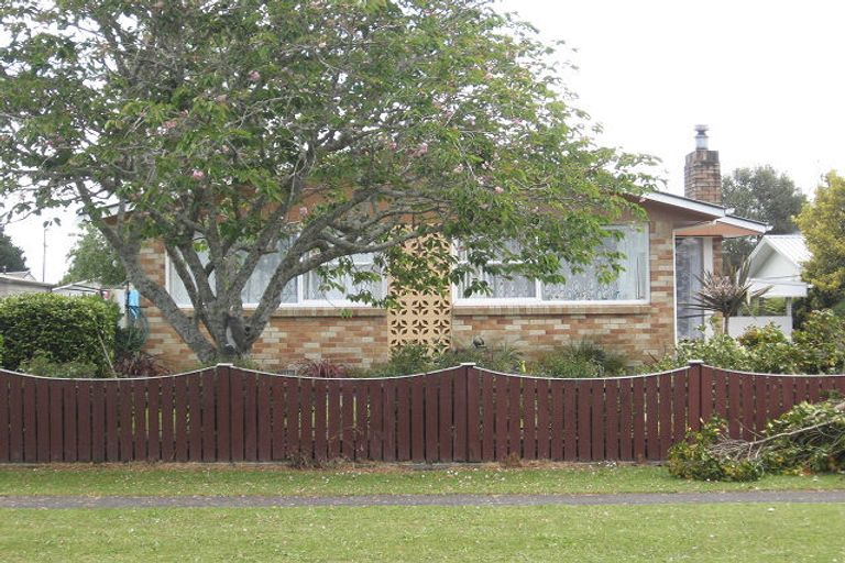 Photo of property in 10 Froude Street, Leamington, Cambridge, 3432