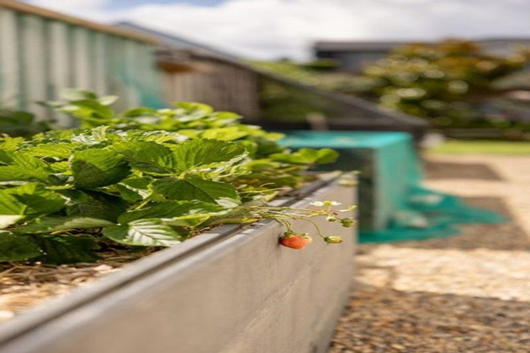 Photo of property in 19 Stingray Drive, Omokoroa, 3114