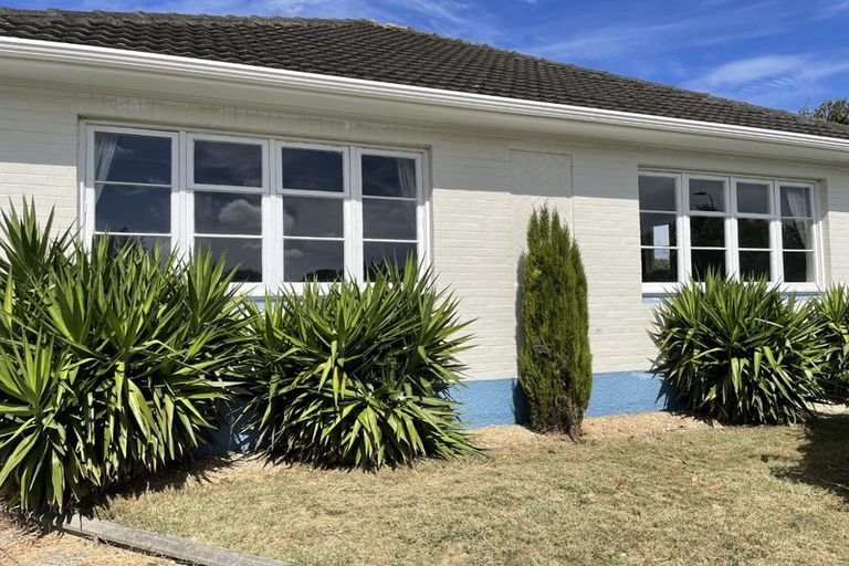 Photo of property in 43 Millar Street, Terrace End, Palmerston North, 4410