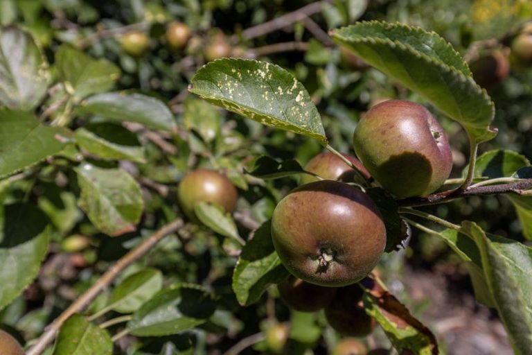 Photo of property in 90-92 Kiwi Road, Raumati Beach, Paraparaumu, 5032